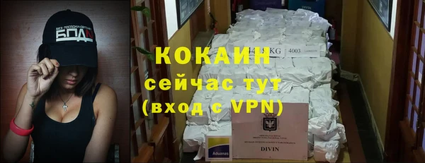 хмурый Арсеньев