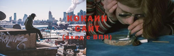 хмурый Арсеньев