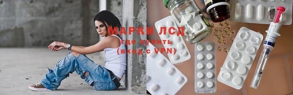 хмурый Арсеньев