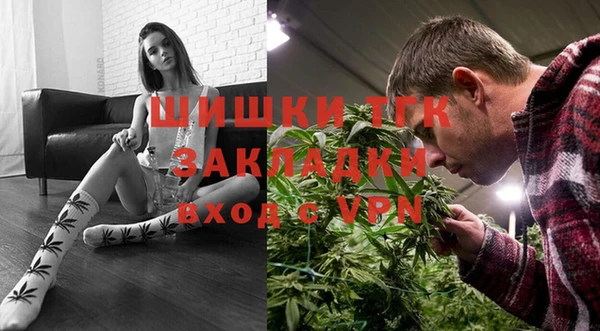 хмурый Арсеньев
