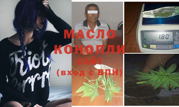 хмурый Арсеньев