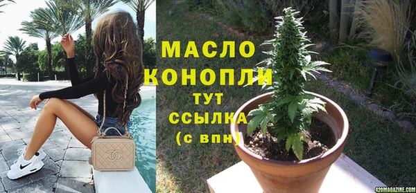хмурый Арсеньев