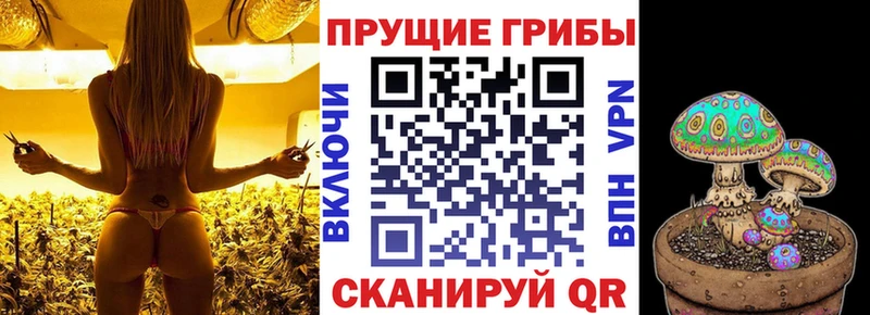 Галлюциногенные грибы мухоморы  Покровск 